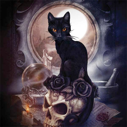 Alchemy Grimelkins Ghost Dell Inspiron Skin